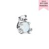 Arctic Bear Charm 793589c01