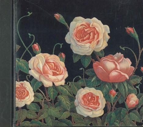 

CD VARIOUS - Urban 25DP5362 SONY Japan Rock Used