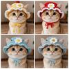 New Funny Cat Hat Refined Elastic Photo Shoot Props Puppy Kittens Knitted Hat Handmade Pet Hat Party