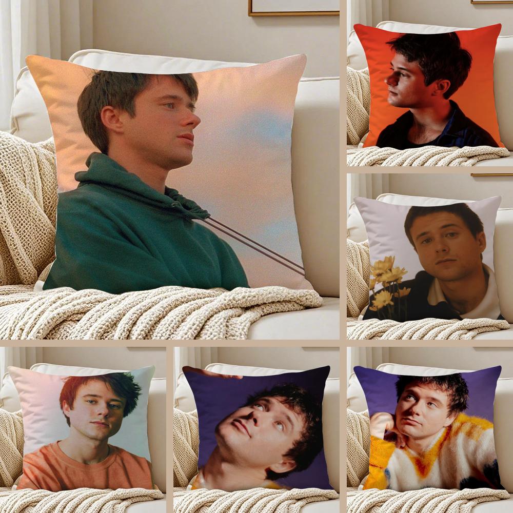 Singer AAlec BBenjamin Cushion Cover Pillowcase Antidustmite living Room Sofa Decor Cushion Room
