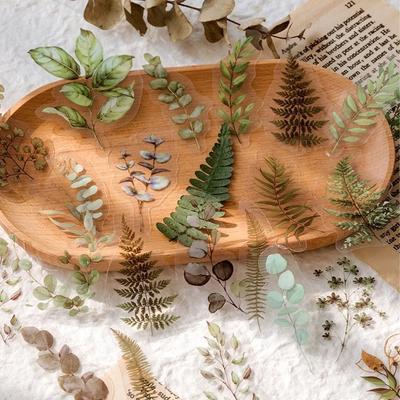 Umělecké Krásná příroda Rostliny Květiny Tráva Řada PET Hand Book Stickers Retro Scrapbook Notebook DIY dekorace pro dívku