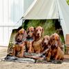 1pc dog pattern blanket, all season lightweight home office outdoor nap multifunctional blanket