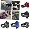 Premium Quality Pet Chest Harness And Leash For Medium To Large Dogs Adjustable Durable And Stylish