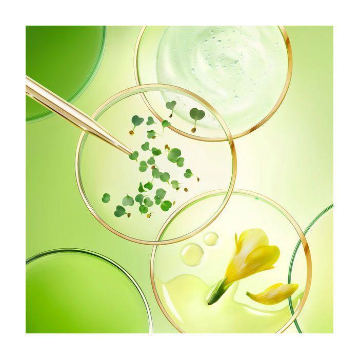 Anti-Aging-Set - NUXE - Nuxuriance Ultra - 65ml - Trockene Haut - Ohne Parabene