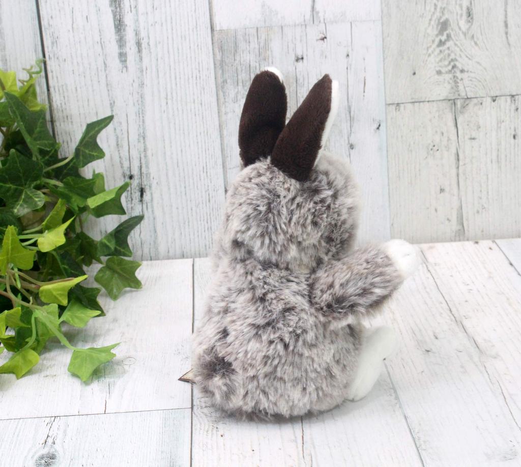 Take Off Rabbit Mimi Brown