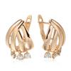 New Unusual  Rose Gold Color Geometry Earrings Daily Women Romantic Fashion Jewelry Natural Zircon Big Drop Earrings
