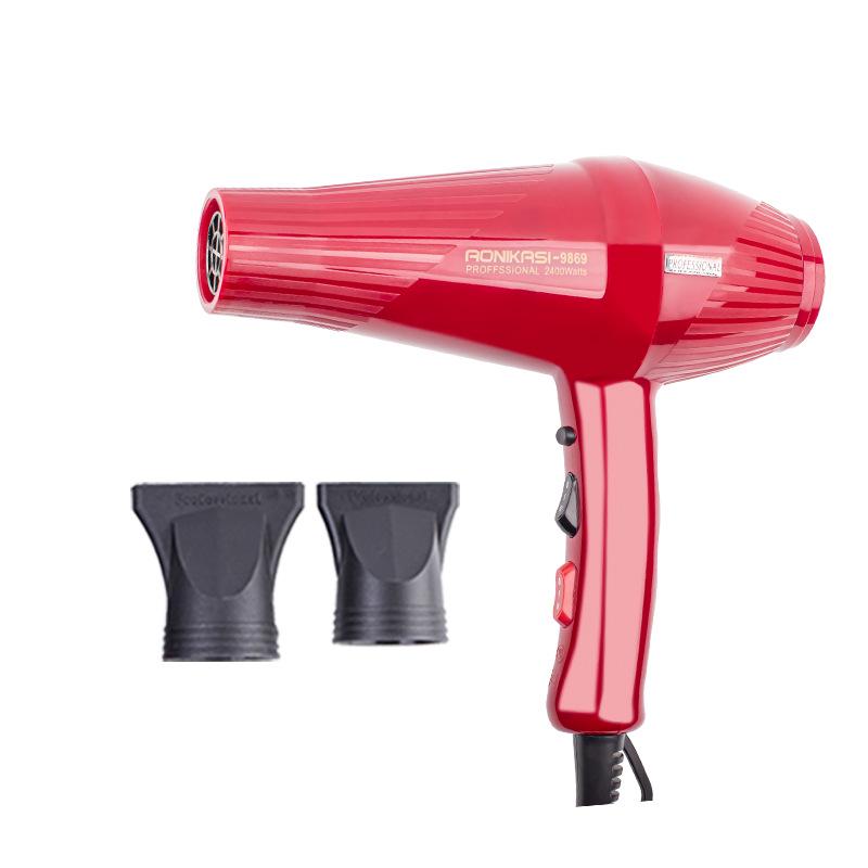 9869 Salon-Quality High Power Hair Dryer with Constant Temperature & Dual Air Modes