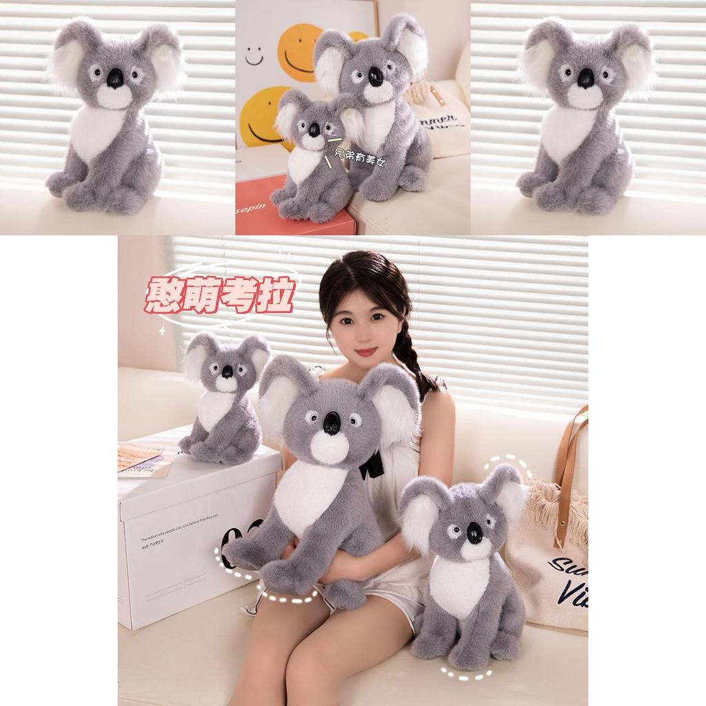 Realistic Koala Plush Toy Adorable Stuffed Animal Zoo Souvenir Perfect For Kids
