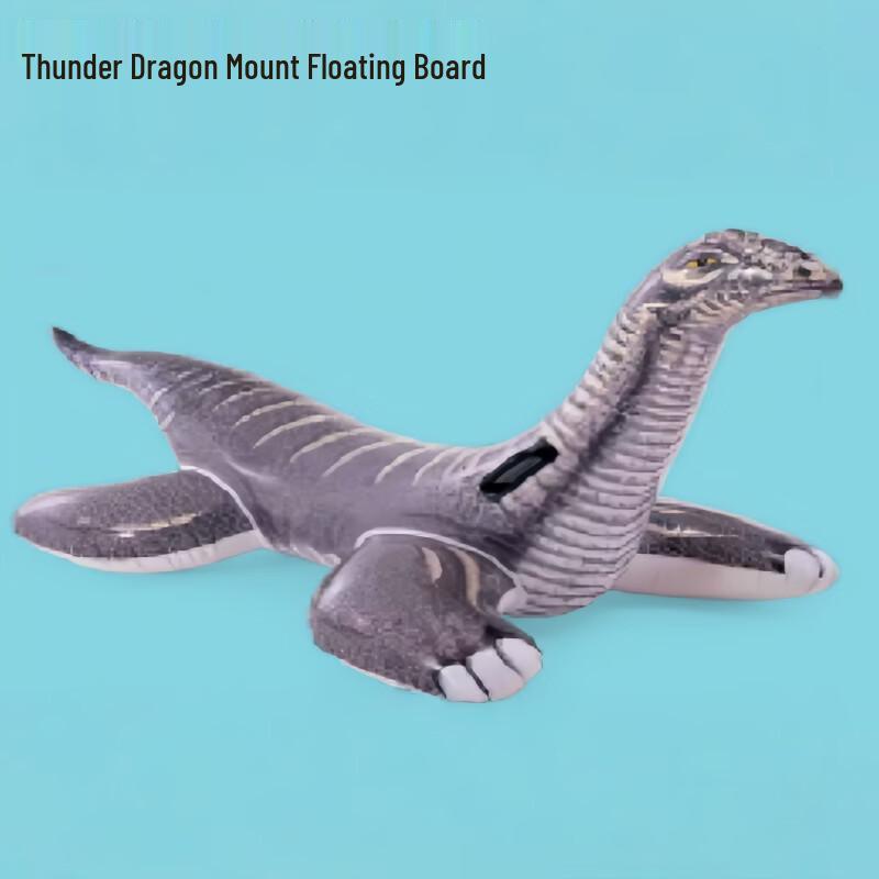 Inflatable Pool Floats & Swimming Rings