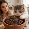 4pc Flower Pot Cover Plant Pot Grid Flower Pot Cover Garden Plant Pot Soil Guard Cover Plant Protector Grid Protect Accessories