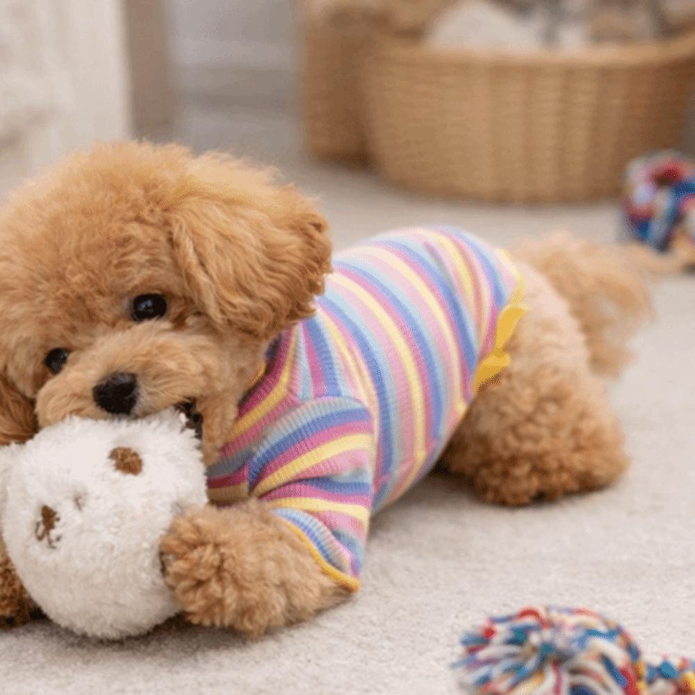 Striped Design Pet Long Sleeve Shirt Rainbow Two Legged Puppy Vest Autumn Winter Season