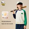 Snoopy Boys' Casual Crew Neck Sweatshirt