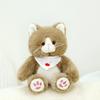 Cute Cat Plush Toy Cat Doll Pillow Children's Gift Kitten Rag Doll Birthday Gift