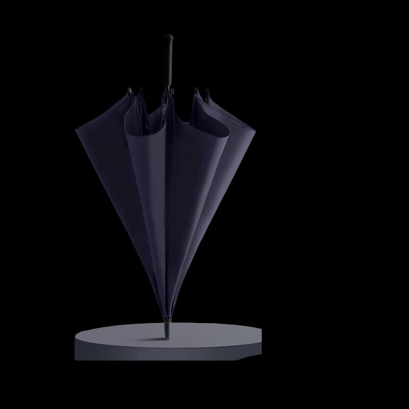 Paradise Windproof Business Umbrella