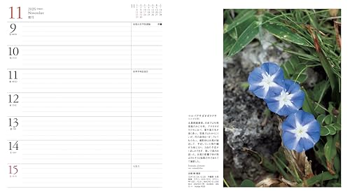 Calendar 2026 FLOWER CALENDAR Flower Calendar (Monthly Diary/Diary/Ring/Flower) (Yamakei Calendar 2026)