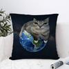 Funny Rainbow Cat Pillow Gift Home Office Decoration Pillow Bedroom Sofa Car Cushion CoverPillow Case