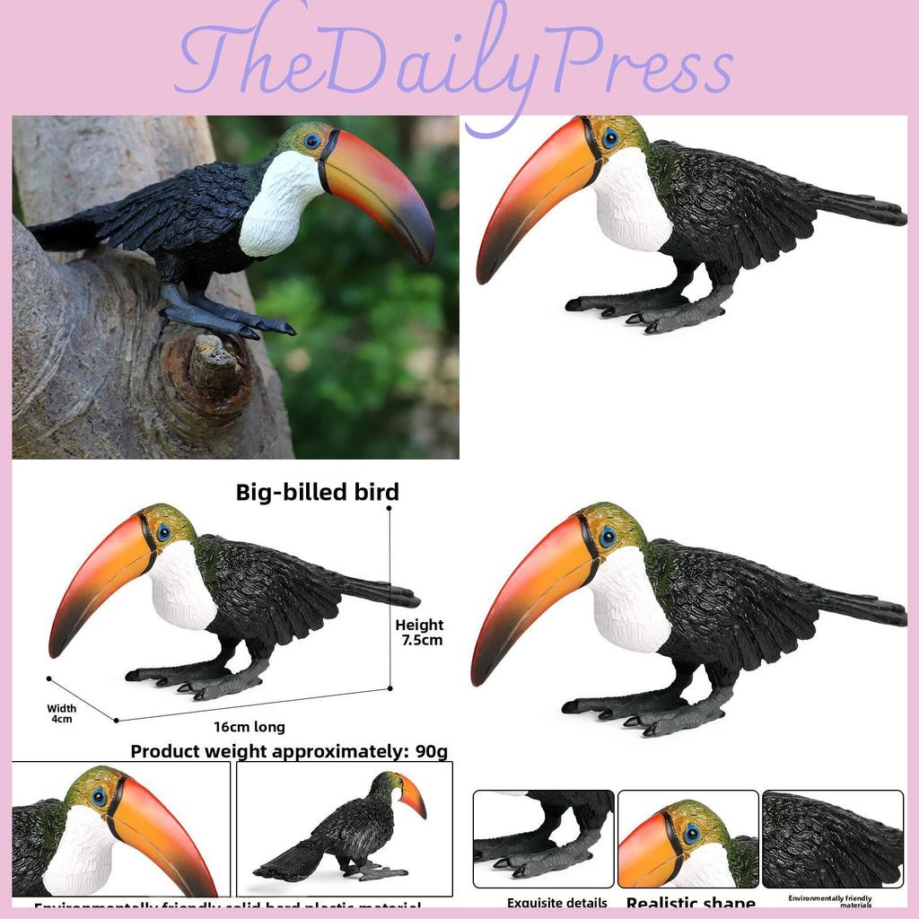 Wild Animal Big Billed Bird Ramphastos Toco Model For Childrens Educational And Playroom Decor
