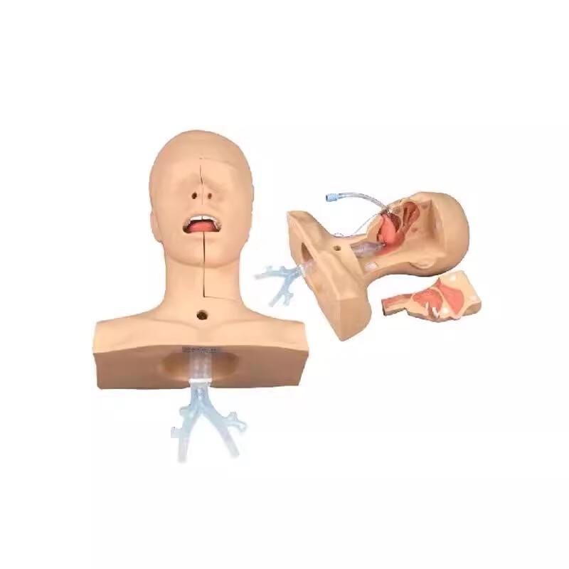 Advanced Sputum Suction Training Model