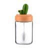 Cactus Kitchen Season Jar Salt Tank Flavor Box Seasoning Bottle Combination Set Glass Seasoning Bottle