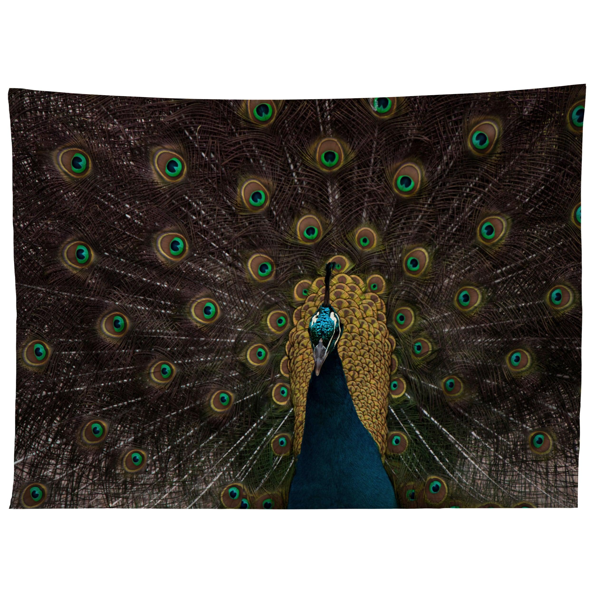 PEACOCK AND PROUD III tapestry 75x100