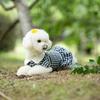 Skin-friendly Pet Clothes Cotton Puppy Skirt Bichon Frise Spring Pet Dress  For Small Medium Dogs