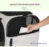 Portable Foldable Pet Carrier for Two Cats with Breathable Design and Large Capacity