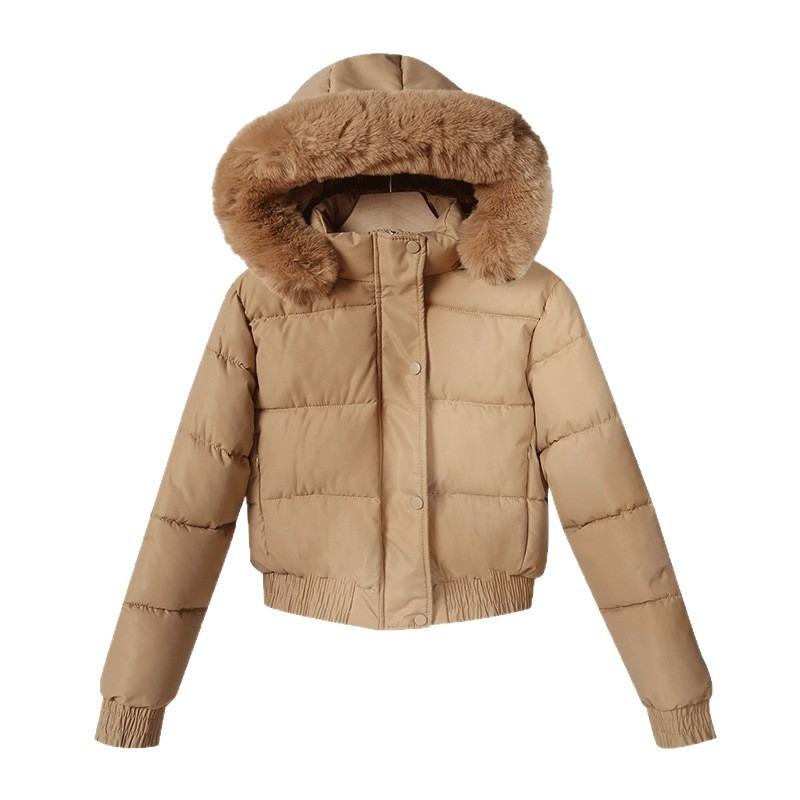 Winter new down cotton-padded clothes women's short inner velvet cotton-padded clothes loose hooded small cotton-padded jackets