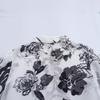 2025 Spring Women's European & American Style Ruffle Trim Printed Chiffon Long Sleeve Shirt