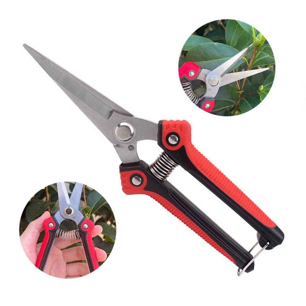 Pruning Shear Branch Scissors Sharp Pruner Trimmer Fruit Tree Garden Plant Flowers Trimming Gardening Household Bonsai Tools