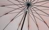 Kasane long 16 plain suitable for both rain and Komiya Shoten x Rose Japanese-made umbrella, ribs, 55cm, Koshu-ori fabric, double-sided, design, sun,