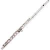 ROWCES Wooden Flute C Key 16 Holes Wind Instrument Includes Cork Grease Cleaning Cloth Driver Gloves Stick Beginner Music Enthusiasts Silver