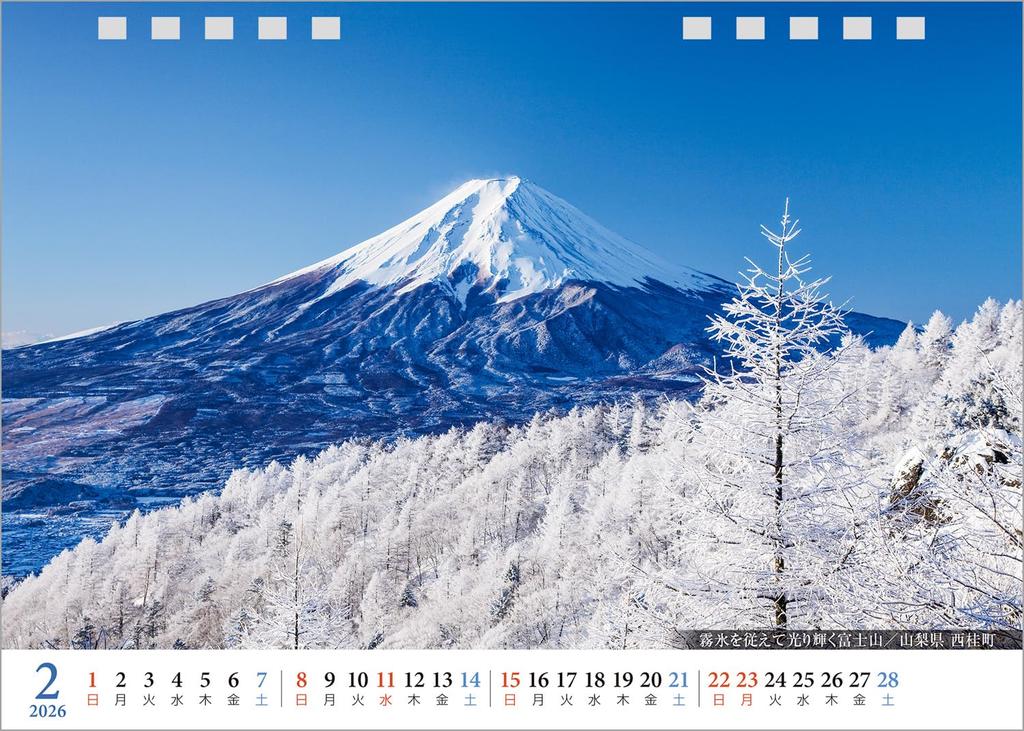 Photo Studio Calendar JAPAN 2026 Four Seasons of Desktop Landscape with 12 Smartphone Wallpapers Calendar Japan, [Double-Sided 144x182]