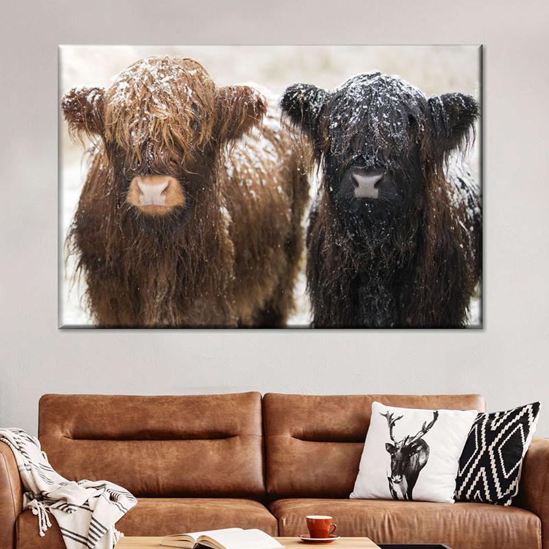 Amazing Portrait of Scottish Highland Cow Wall Pictures Canvas Painting Animal Posters Prints Living Room Home Decor