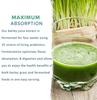 250g Organic Barley Grass Powder |USDA Certified | PREMIUM Grade