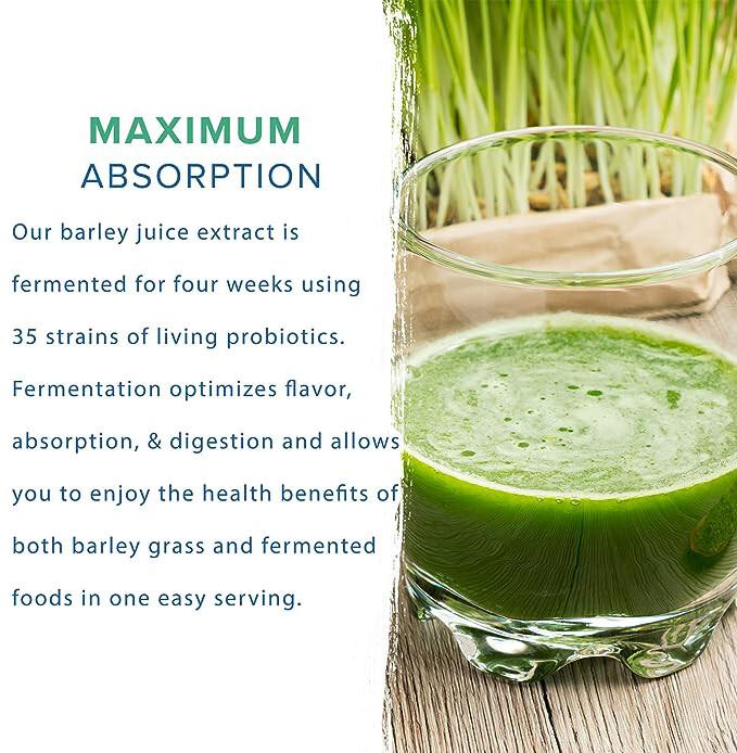 250g Organic Barley Grass Powder |USDA Certified | PREMIUM Grade