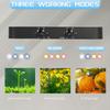 LED Quantum Board Plant Light: High-Efficiency Full Spectrum for Indoor Greenhouses