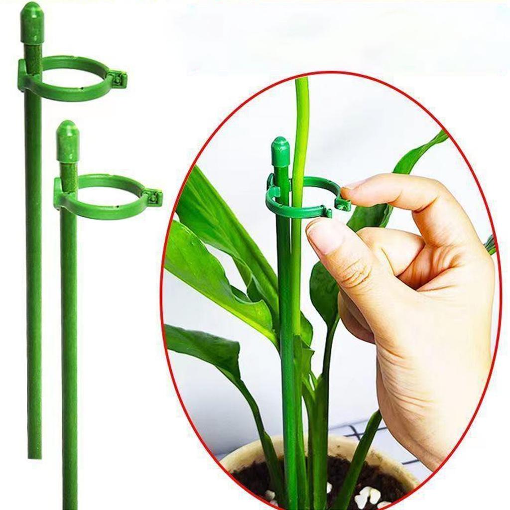 10pcs Plant Support Stakes 60cm Garden Tomato Pepper Vine Trellis with 20 Fixing Rings