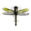 1PC Fishing Bait Lure Hook Weight Dragonfly Floating Fly Fishing Lure 6g 75mm Artificial Bait for Trolling Hard Lure Hook Lure