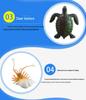 Children's Marine Animal Simulation Toys - 24-Piece Set for Early Learning and Cognitive Development