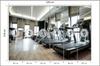 Photomural Modern Fitness Club Self-Adhesive Mural 520x318