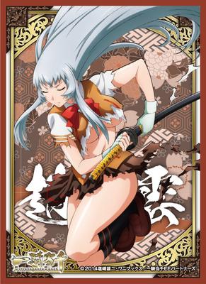 Character Sleeve Ikkitousen Extravaganza Epoch Zhao Yunzilong (EN-048)