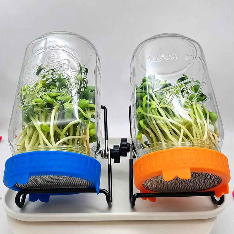 Food-Grade Glass Sprouting Jar with Multi-Functional Strainer Lid for Homemade Hydroponic Bean and Pea Seedlings.