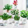 Self Watering Plant Pot Flower Pot with Deep Clear Reservoir Modern Planter with Wick Ropes for Houseplants Indoor Pothos