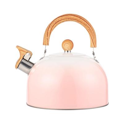 3L Whistling Kettle with Wooden Handle, Hiking Tea Kettle, Teapot, Picnic