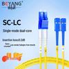 Boyang Telecom-Grade Single-Mode Fiber Optic Patch Cord
