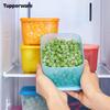 Tupperware 700ml Gefrierbehälter 4er-Set