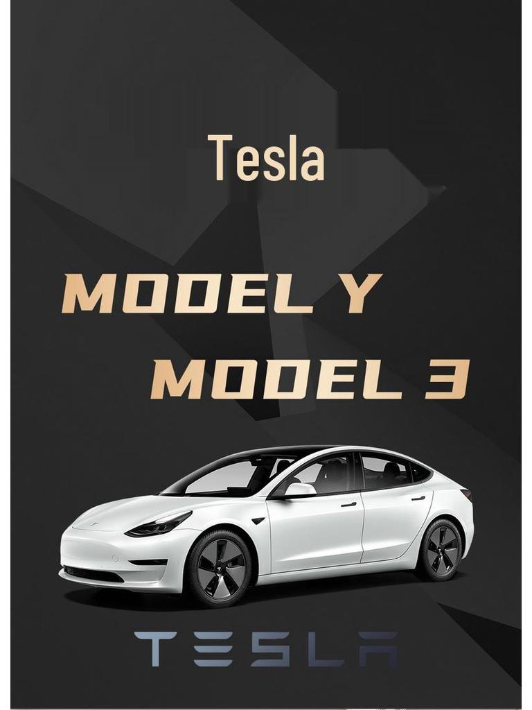 Tesla Model 3 & Y Seat Cushion: Four-Season, Full Coverage