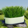 Removable Cat Grass Planter Box Layered Design Hydroponic Cat Grass Box  Home Decor