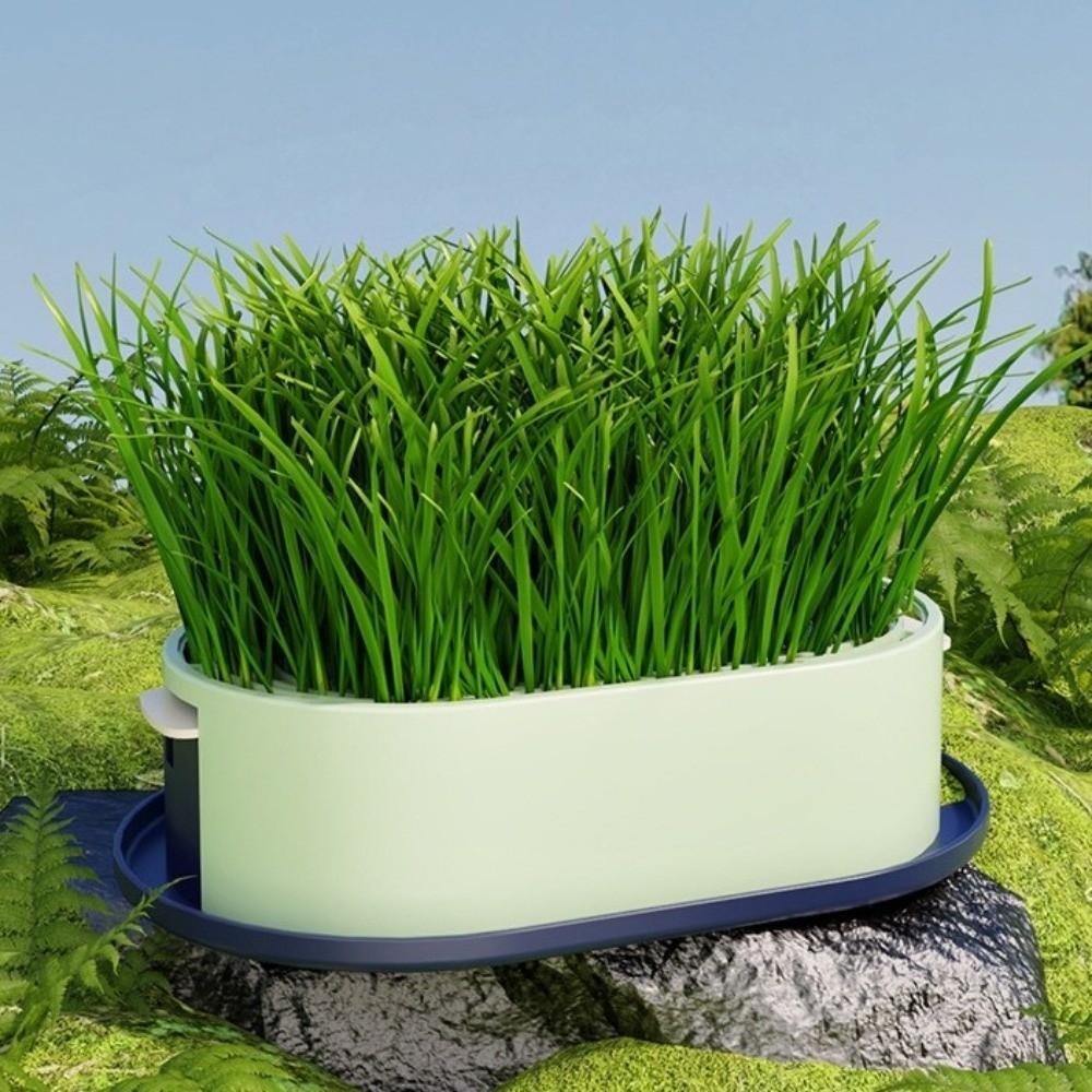 Removable Cat Grass Planter Box Layered Design Hydroponic Cat Grass Box  Home Decor