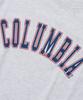 COLUMBIA UNIVERSITY Cu Arch Women Slim-Fit S/S T-Shirts_Light Melange Gray